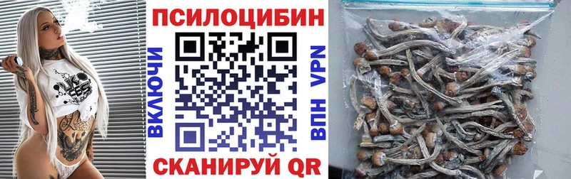 Галлюциногенные грибы Cubensis omg Кемерово